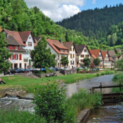 black-forest-germany
